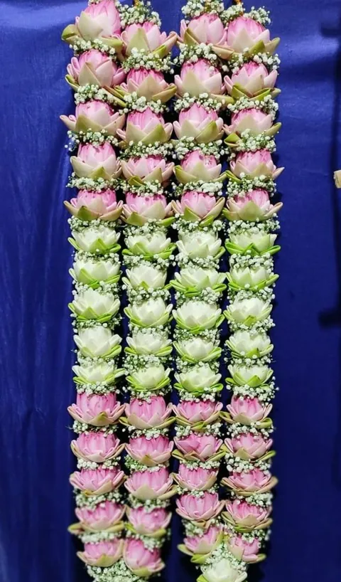 வெண் மற்றும் இளஞ்சிவப்புத் தாமரை மாலைகள்