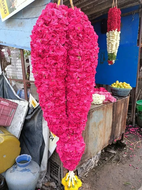 பெரிய பன்னீர் ரோஜா மாலை